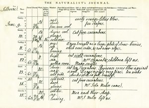 آخر صفحة مكتملة لمجلة Gilbert Whites Naturalists ، 9-15 يونيو 1793